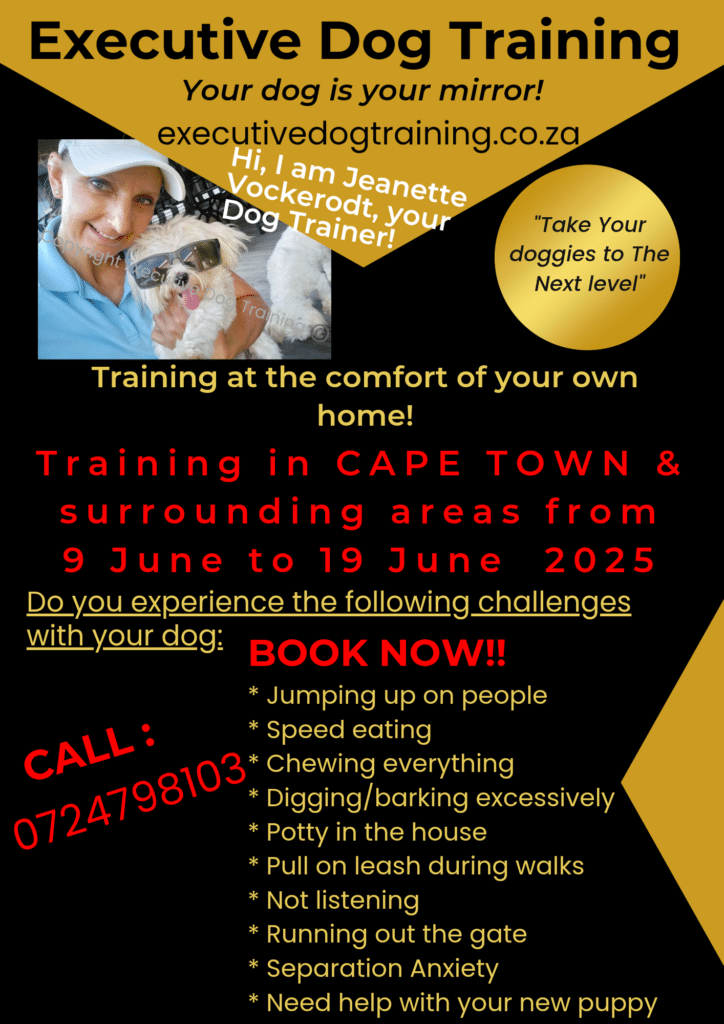 Executive Dog Traning Cape Twn